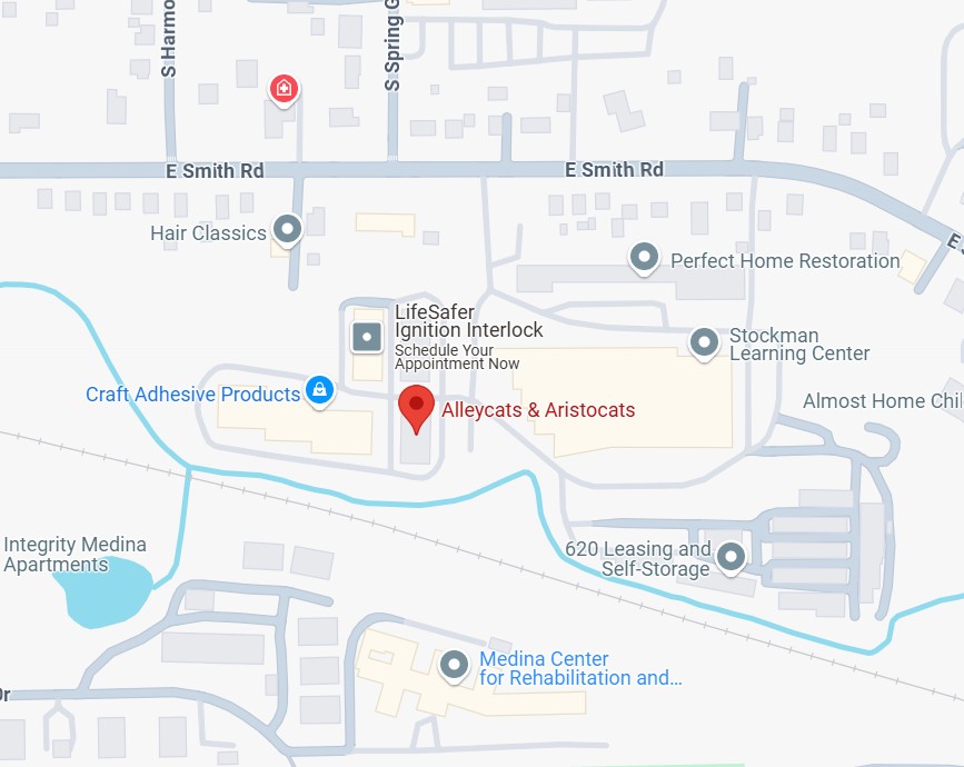 map of alleycats and aristocats location in medina